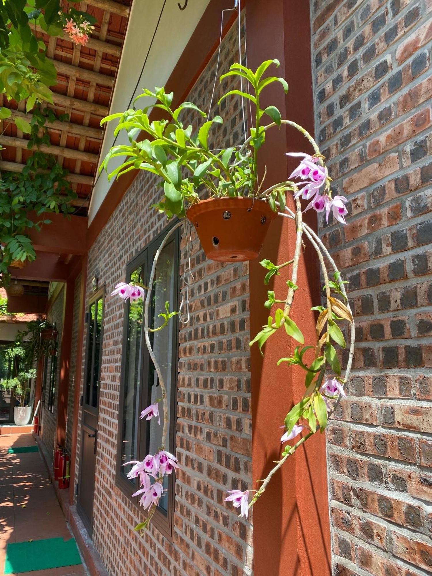 Thuy Xuyen Tam Coc Homestay Vu Lam Exterior photo